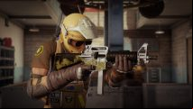 Rainbow Six Siege pro Pengu says skins 