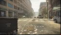 The division 2 dog
