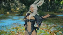 Why does Final Fantasy XIV still have gender-locked races in 2019?