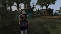 Morrowind Rebirth just got a massive update