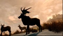Meet the people modding Skyrim to improve Tamriel's wildlife