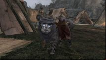 New Skyrim mod lets you add Khajiit cat followers - and they're adorable