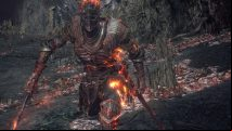 This Dark Souls 3 mod turns the final boss into 