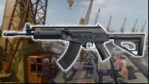 Best Warzone AMAX loadout