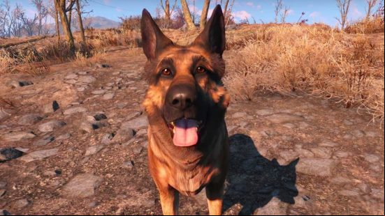 Best Fallout 4 mods: A close-up of Dogmeat, the German Shepherd canine companion that accompanies the sole survivor of Fallout 4 on their journey across the Wasteland