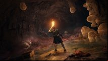 Best Elden Ring settings for max fps