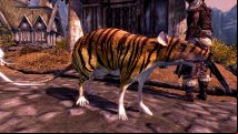 This Skyrim mod adds giant rat companions, with stripes