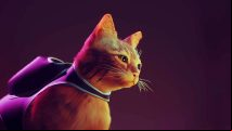 Stray beginners guide: how to find secrets, fulfil requests, and more