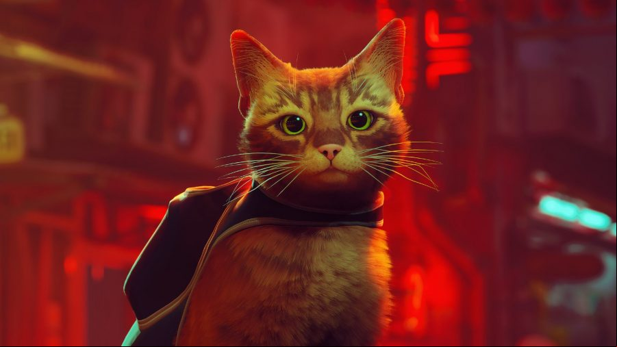 Stray: The orange tabby starring in BlueTwelve Studio's action-adventure cat game sat facing the camera, wearing the black backpack housing B-12, his robot companion