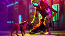 Stray partners with cat charities to help real-life strays