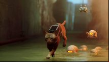 Stray: Release time and preload details for the new cat game