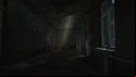 Escape from Tarkov screenshots: Sunlight seeps into a dark hallway, the floor is covered in water and debris, and a bush is growing in the area lit by the sun