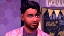 A Sims survey is asking too many vague questions about the life sim