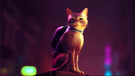 The main feline character in Stray stands proud and faces towards the camera against a neon background