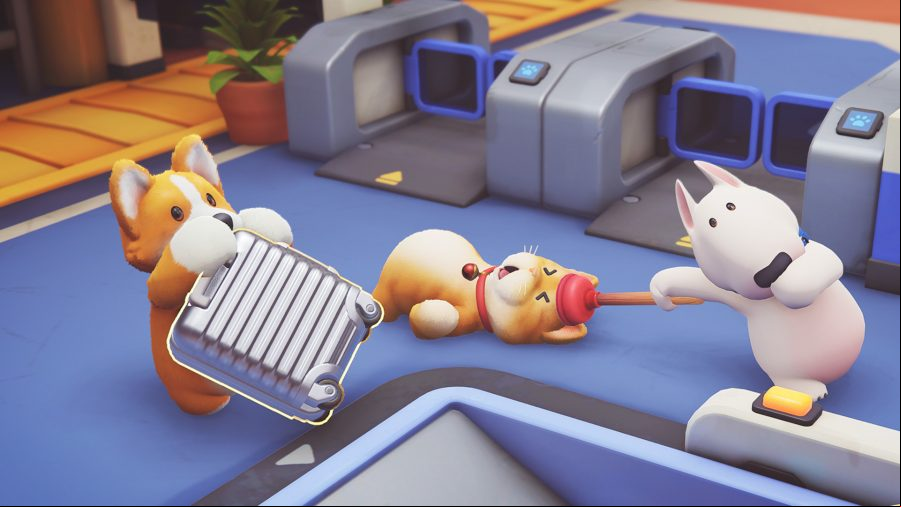 Party Animals Header Image
