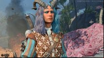 Best Baldur's Gate 3 Bard build