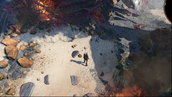 baldurs gate 3 exploring the ravaged beach