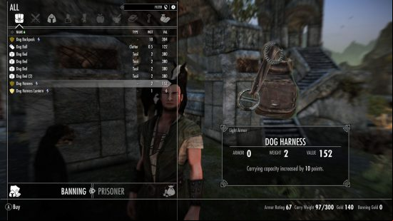 Essential Skyrim mod unites you with a Dragonborn's best friend