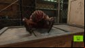 A screenshot from Half-Life 2 RTX, in which a headcrab sits atop a cardboard box