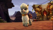 Controversial new WoW Twitch drops include former charity pet