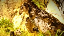 Ark remaster disables PC crossplay for the 