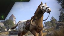 Act quick, Nvidia is giving away free Elder Scrolls Online mounts now