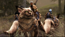 Guild Wars 2's new expansion just dropped, and it finally adds housing