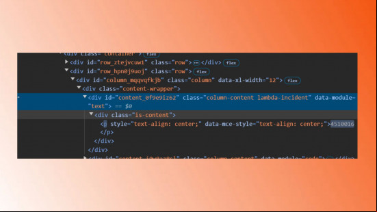 Code from the Black Mesa website which refers to a Lambda Incident.