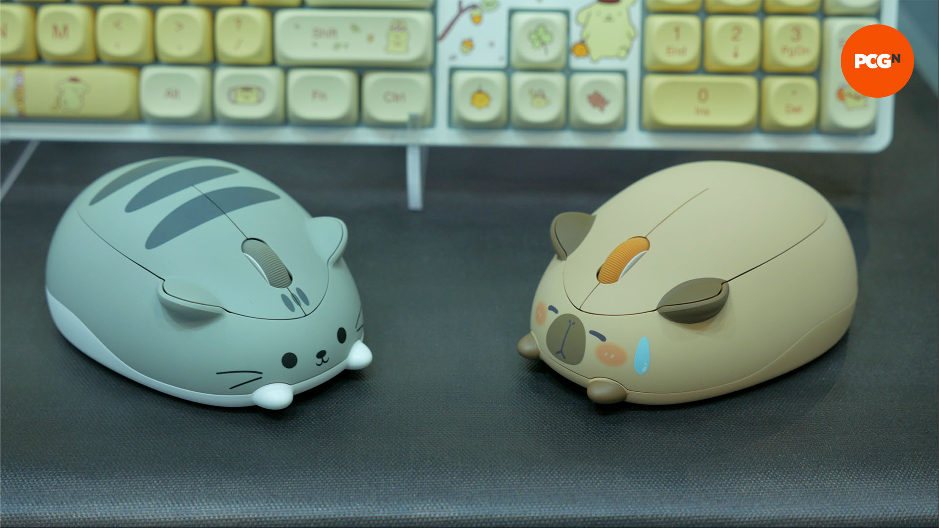 akko capybara mice 01
