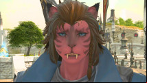 FF14 has a major DDoS problem, as attacks are almost daily