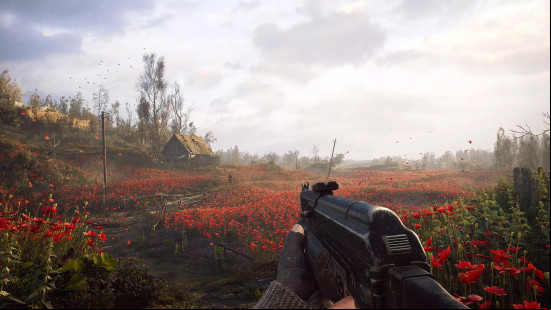Stalker 2 preview: An image of a poppy field.