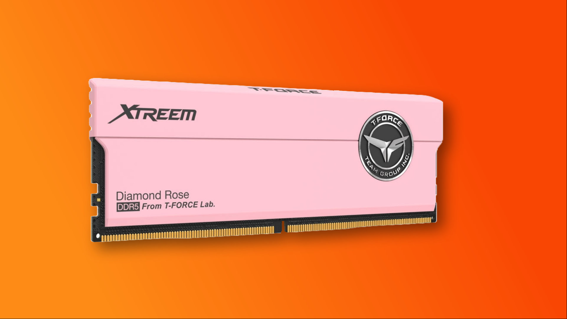 TeamGroup T-Force Xtreem pink RAM