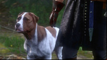 How to find Mutt in Kingdom Come Deliverance 2