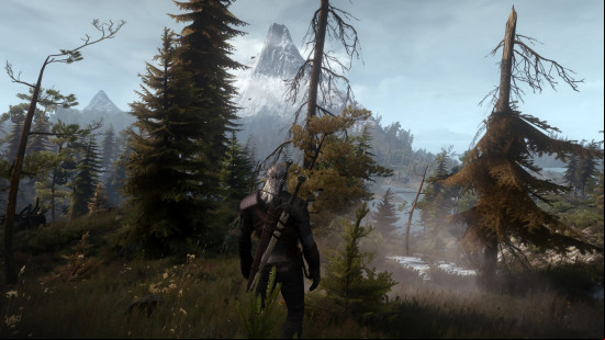 Best Witcher 3 mods: a white-haired man wearing armor stands in the middle of a forest. There is a snow-capped mountain in the distance.