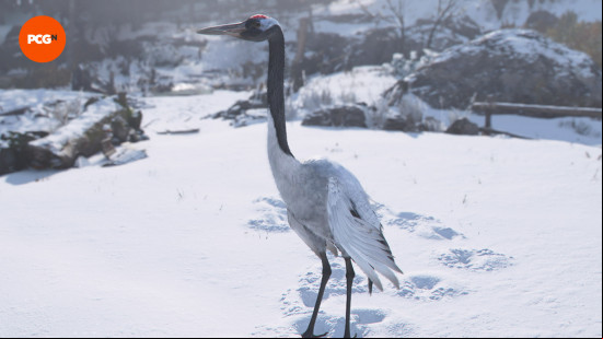 AC Shadows Legendary Sumi-e locations: a majestic crane in the snow