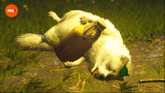 AC Shadows Legendary Sumi-e locations: a sleeping golden Tanuki
