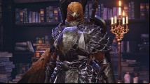 Best Elden Ring Nightreign Guardian build