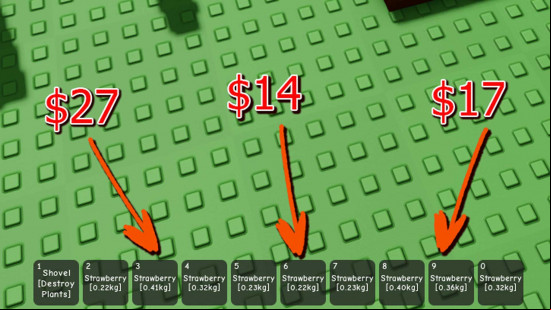 An image showing how the weight of a Grow a Garden crop can affect its sale price without a mutation.