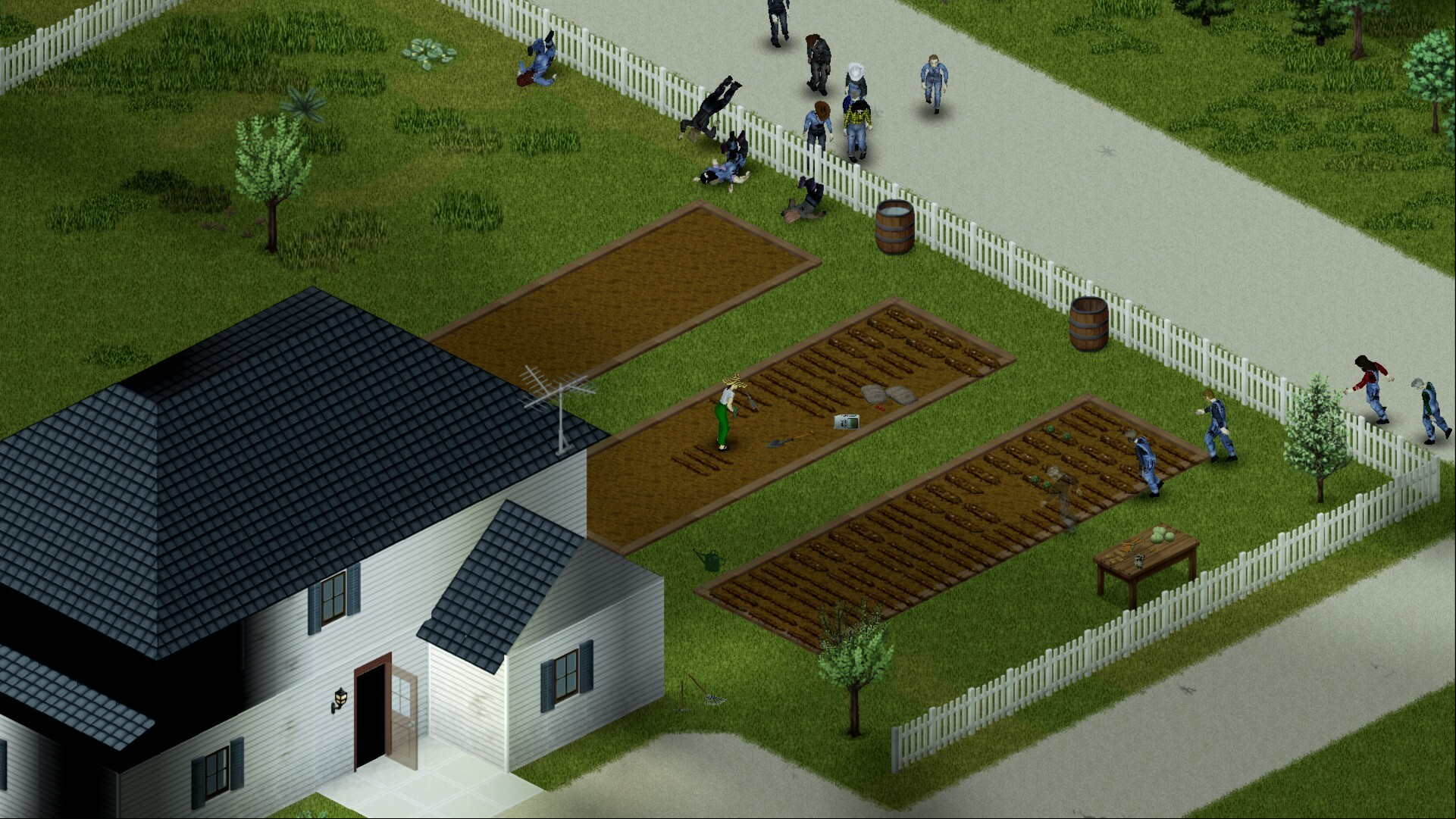 Project Zomboid update build 42: A small home in survival game Project Zomboid