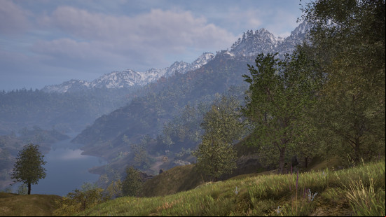 Oblivion Remastered: A vista of a hillside forest full of green trees, sloping down to a lake with snowy mountains in the background