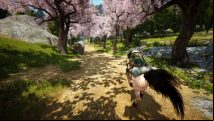 Black Desert Online Steam release will not be compatible with classic version