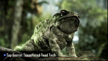 CryEngine 3 makes toads kissable