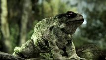 Crytek CEO wants to bring back the phrase: 