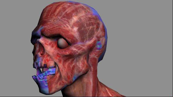 Fallout 3's ghouls were made using photos of real chicken flesh