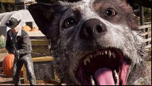 Far Cry 5 photo mode lands tomorrow