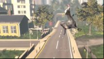 Goat Simulator Collector's Edition was planned to come bundled with a real goat