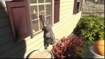 Gruff love: get Goat Simulator and Escape Goat 2 by donating a goat to charity