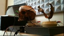 Playdead used a human skull to record Inside's sounds