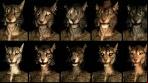 In-depth: Skyrim survey analysed