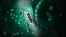 Best games of 2015: Sunless Sea